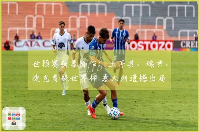 世预赛夜幕降临：土耳其、瑞典、捷克晋级世界杯 意大利遗憾出局