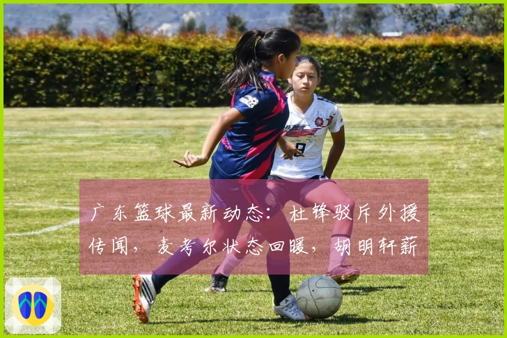 广东篮球最新动态：杜锋驳斥外援传闻，麦考尔状态回暖，胡明轩薪水引争议