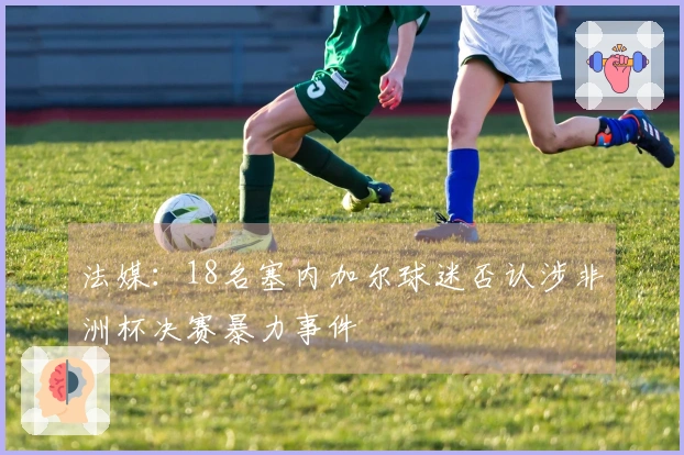 法媒：18名塞内加尔球迷否认涉非洲杯决赛暴力事件