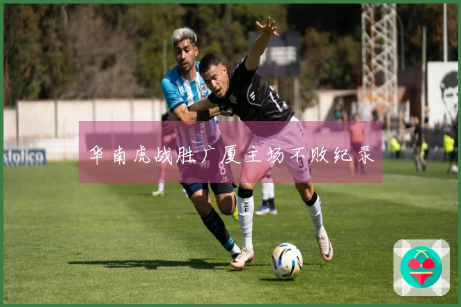 华南虎战胜广厦主场不败纪录