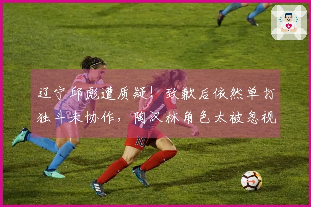 辽宁邱彪遭质疑！致歉后依然单打独斗未协作，陶汉林角色太被忽视