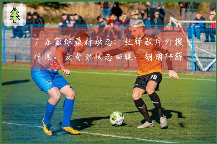 广东篮球最新动态：杜锋驳斥外援传闻，麦考尔状态回暖，胡明轩薪水引争议